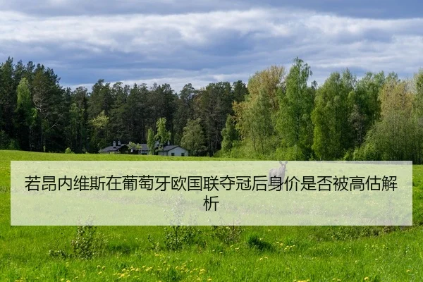ruo-ang-nei-wei-si-zai-pu-tao-ya-ou-guo-lian-duo-guan-hou-shen-jia-shi-fou-bei-gao-gu-jie-xi-2-530.jpg