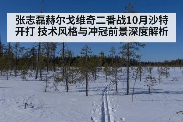 张志磊赫尔戈维奇二番战10月沙特开打 技术风格与冲冠前景深度解析